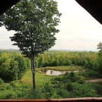Michigan Log Cabin 80 Acres images 4