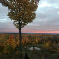 Michigan Log Cabin 80 Acres images 5