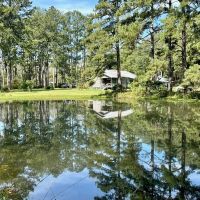 Pike County Home with Pond and Acreage for Sale Summit MS images 4