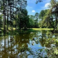 Pike County Home with Pond and Acreage for Sale Summit MS images 5