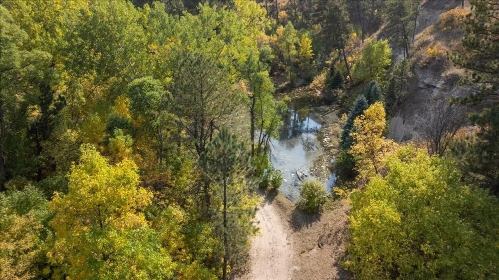 Nebraska Wilderness Retreat featured image
