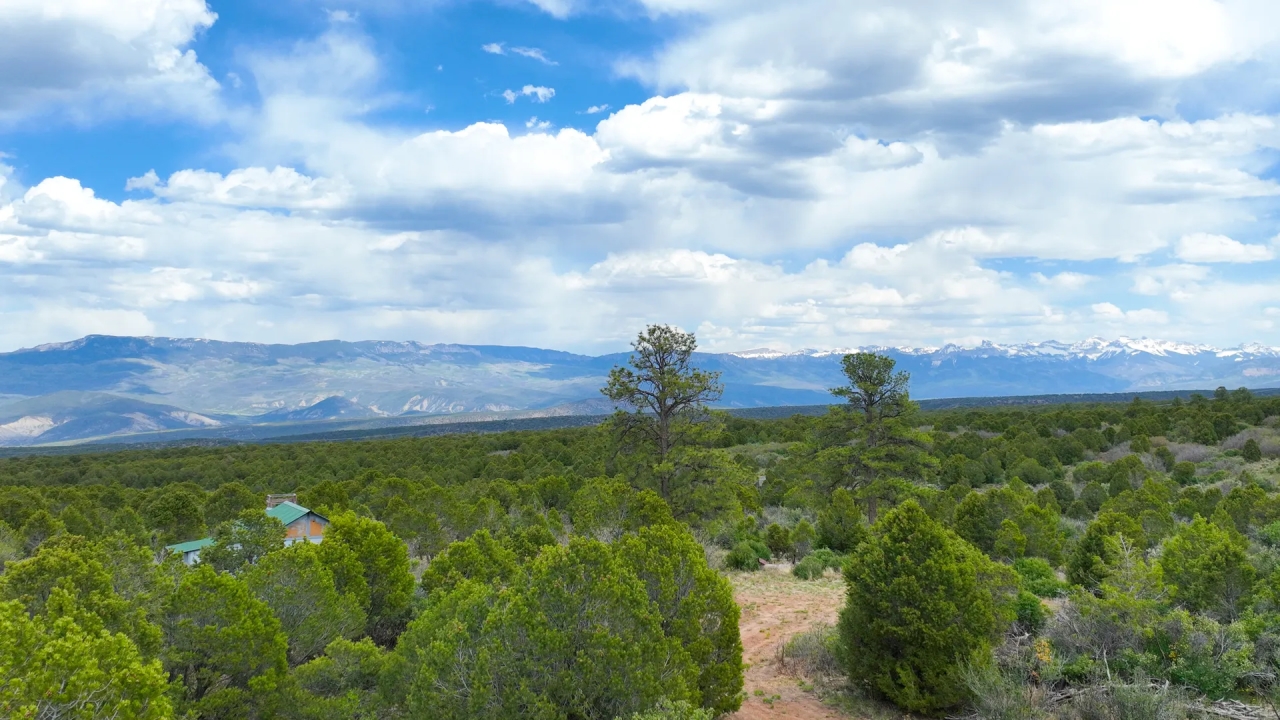 38 Acres Bordering BLM and Near Cornerstone Golf Hunting Land for