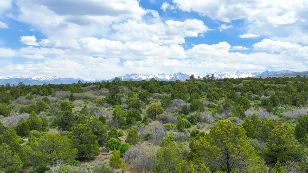38 Acres Bordering BLM and Near Cornerstone Golf Hunting Land for Sale