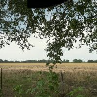 15 Acres-Owner Financing Available images 2