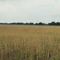 15 Acres-Owner Financing Available images 3