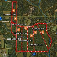 154.72 Acres - Offered in Seven Tracts