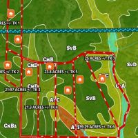 154.72 Acres - Offered in Seven Tracts images 5