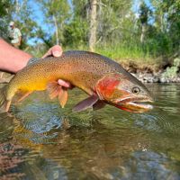 Antlers Ranch images 3