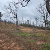10.46 Rural rd images 4
