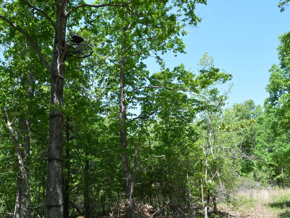 672.7 Acres Gray Squirrel Ranch Oklahoma Hunting Land Hunting Land