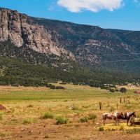 Colorado Mountain Home Ranch and Hunting Property for sale images 4