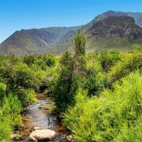 Colorado Mountain Home Ranch and Hunting Property for sale images 5