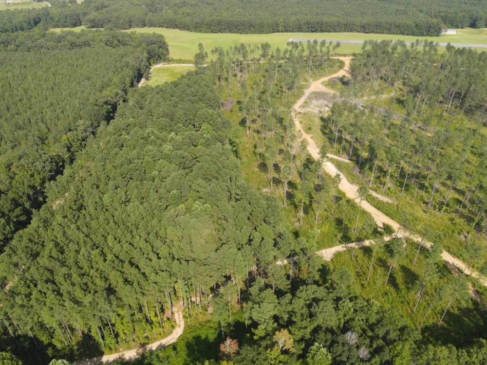 86 Acres with a Camp in Choctaw County MS featured image