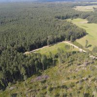 86 Acres with a Camp in Choctaw County MS images 2