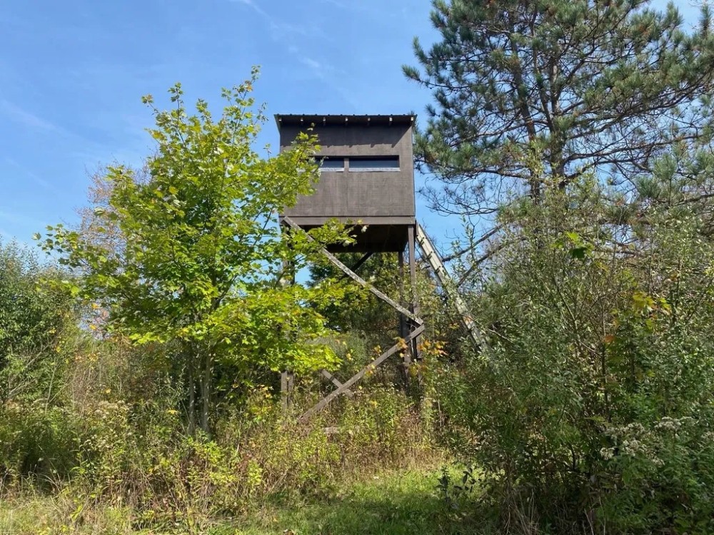 48 acres Hunting Land and Recreational Land in West Almond NY County Road 16 featured image