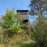48 acres Hunting Land and Recreational Land in West Almond NY County Road 16
