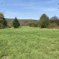 48 acres Hunting Land and Recreational Land in West Almond NY County Road 16 images 2