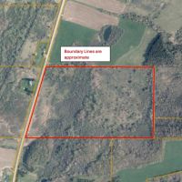 48 acres Hunting Land and Recreational Land in West Almond NY County Road 16 images 4