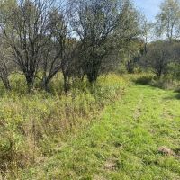 48 acres Hunting Land and Recreational Land in West Almond NY County Road 16 images 5