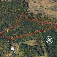 - 16.55 Acre Homesite Lot for Sale in Caswell County NC images 3