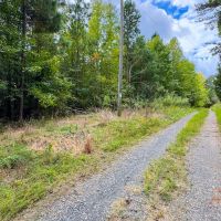 - 16.55 Acre Homesite Lot for Sale in Caswell County NC images 4