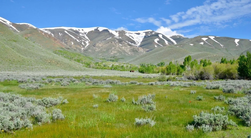 Cottonwood Ranch featured image