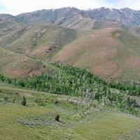 Cottonwood Ranch images 4