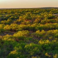Canyon Creek Ranch images 5