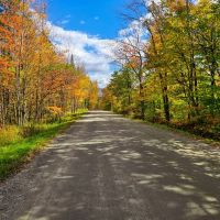 425 Symonds Mill Rd images 5