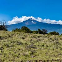 Cougar Ridge Ranch images 4