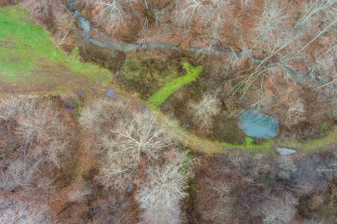 713 off Sugar Tree Branch Rd Hunting Land for Sale HuntingLocator