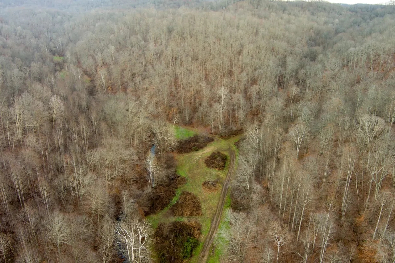 713 off Sugar Tree Branch Rd Hunting Land for Sale HuntingLocator