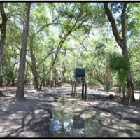Hunting Preserve 370 - acres on Charlie Creek