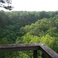 250.8 Acres Barn Hollow NA Deer Hunting Land in Texas, MO