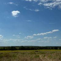 90 - Acres Excellent Hunting Recreational Property images 4