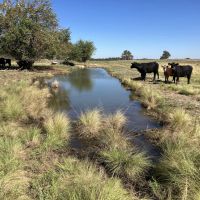 Moore Ranch -160 Acres