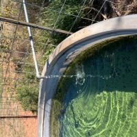 Moore Ranch -160 Acres images 3