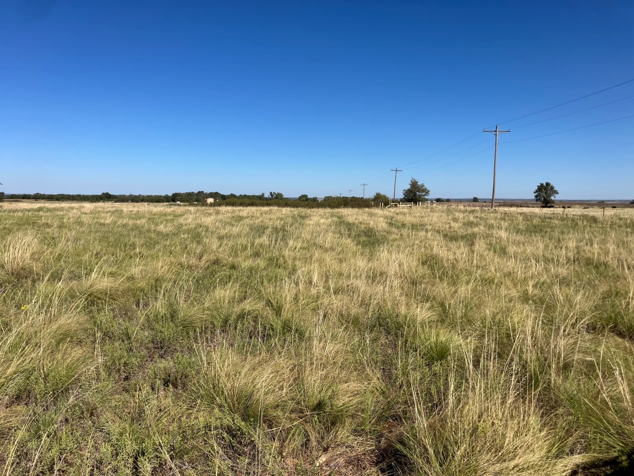 Moore Ranch 160 Acres Hunting Land for Sale