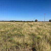 Moore Ranch -160 Acres images 4