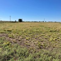 Moore Ranch -160 Acres images 5