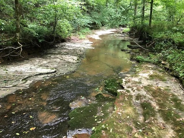 Buck Hollow Farm featured image