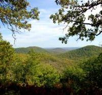 7,898.9 Acres Caney Mountain CA Deer Hunting Land in Ozark, MO