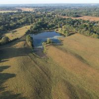 159 Acres Tillable Pasture Hunting Land Combo Adams County IL images 3