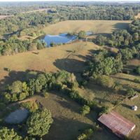 159 Acres Tillable Pasture Hunting Land Combo Adams County IL images 4