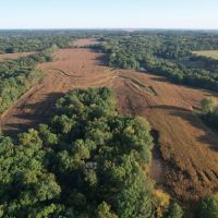 159 Acres Tillable Pasture Hunting Land Combo Adams County IL images 5
