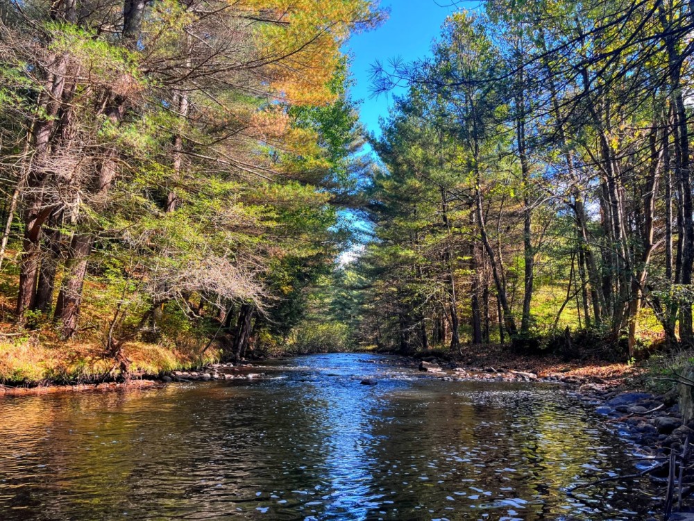 114 acres Waterfront Land with Cabin Russell NY featured image