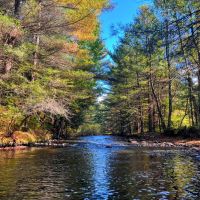 114 acres Waterfront Land with Cabin Russell NY