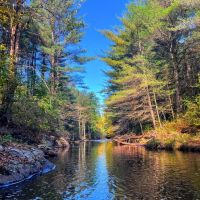 114 acres Waterfront Land with Cabin Russell NY images 2