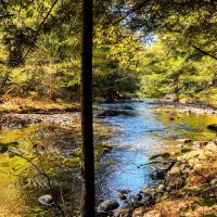 114 acres Waterfront Land with Cabin Russell NY images 3