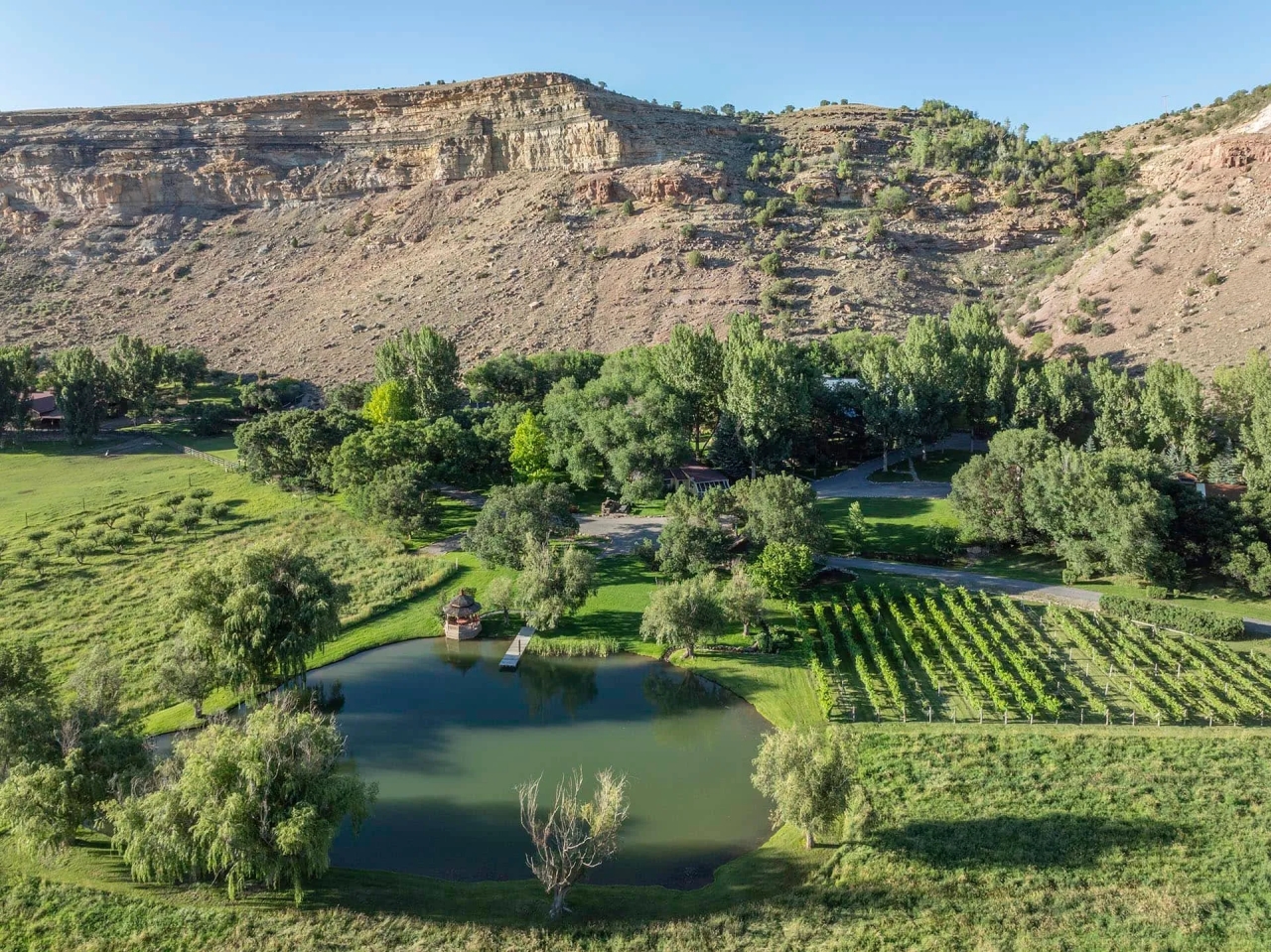Canyon Ranch Hunting Land for Sale